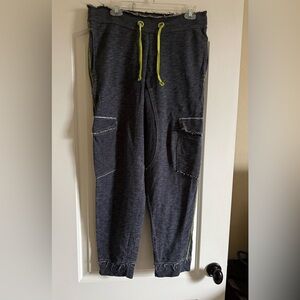 Men's Gray Zumba Jogger Pants